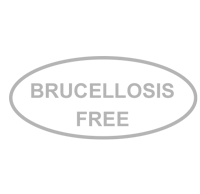 Brucellosis Free