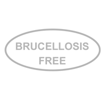 Brcellosis Brucellosis Free