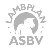 Lambplan ASBV