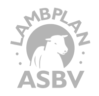 LambplanASBV300dpi Lambplan ASBV