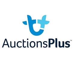auctions plu Auctions Plus