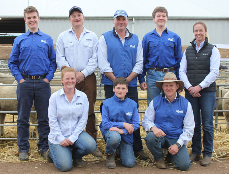 staff Chrome Sheep Studs Staff